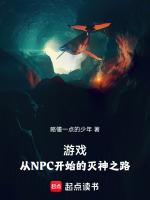 遊戲：從NPC開始的滅神之路